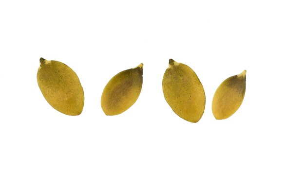 pompoenpitten geïsoleerd op witte achtergrond