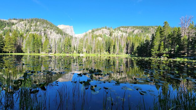 Pond found in the middle of a forest in the rocky mountains of colorado