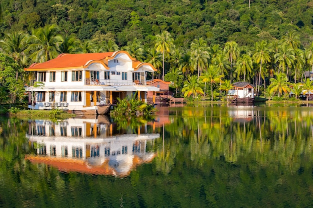 태국의 녹색 코코넛 야자수와 호수 물이있는 아름다운 열대 장소 앞의 연못