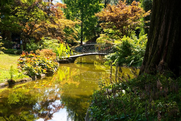 Pond in a garden with a bridge and beautiful trees