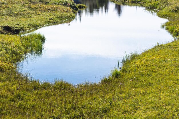 Thingvellir의 Oxara 강의 강둑 근처 연못
