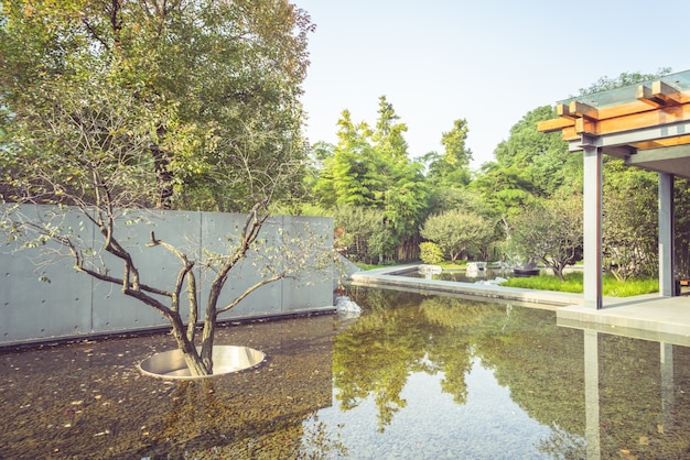 The pond and plants in the park