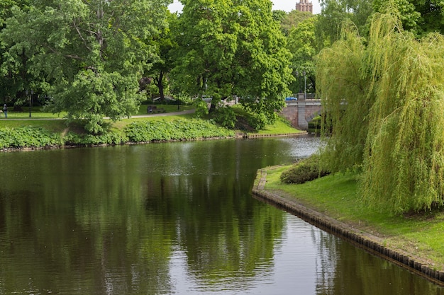 pond in the spring garden