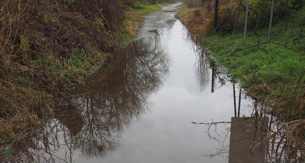 Pond in street