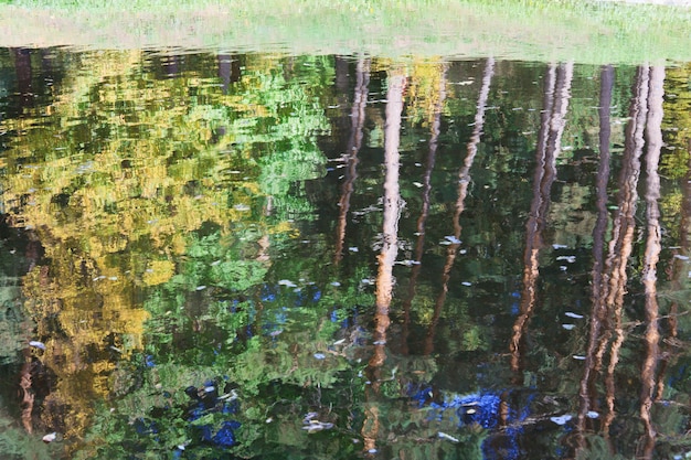 Pond water surface with reflection of colorful trees and blue sky in autumn park