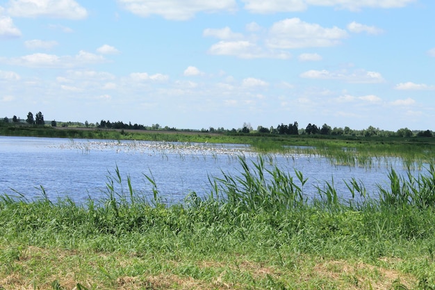 A pond with a blue sky and a few clouds