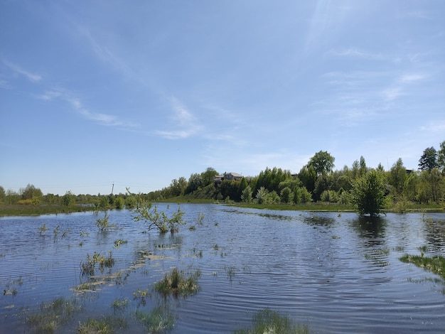 Photo a pond with a house on the top