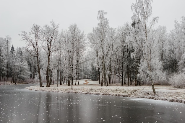 Ponds in the Alexander Park in the snow