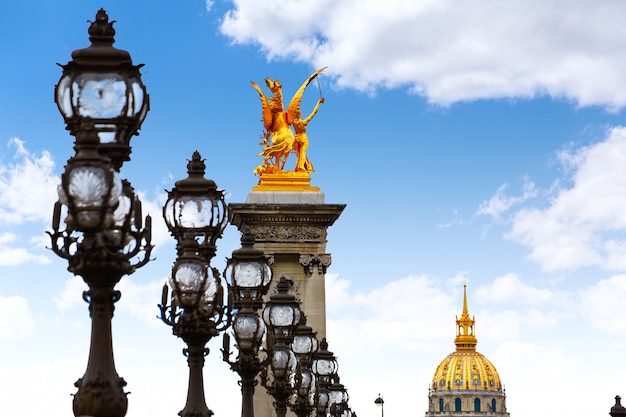 Pont alexandre iii in parijs frankrijk over seine