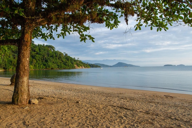 Photo pontal beach in paraty rio de janeiro brazil