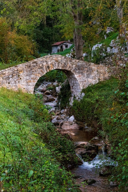 Poo de Cabrales middeleeuwse brug, Asturië, Spanje