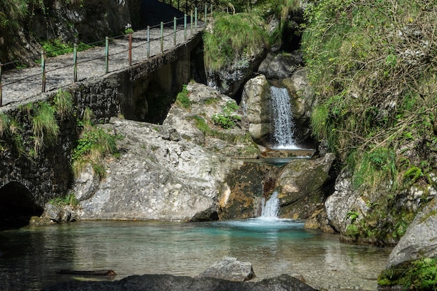 Pool van paarden in Val Vertova Lombardije bij Bergamo in Italië