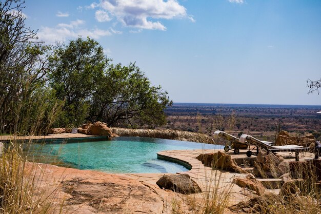 a pool with a rock in the middle of it and a tree in the background