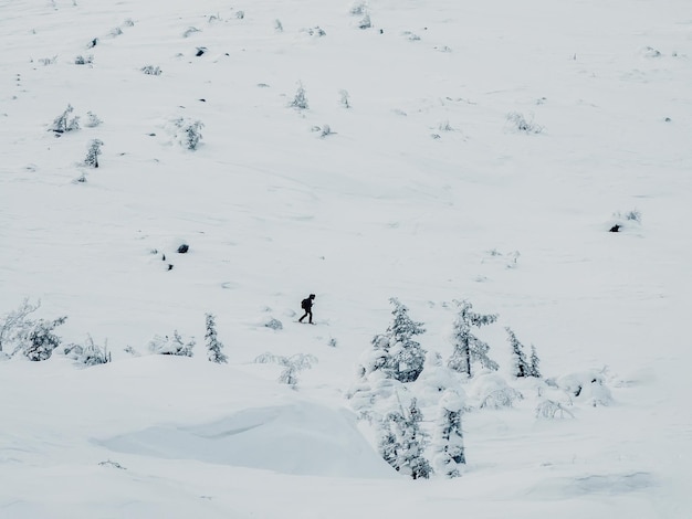 Poolexpeditie Klein silhouet een eenzame reiziger op sneeuwschoenen loopt langs een besneeuwde helling Zwaar noordelijk weer duidelijk zicht