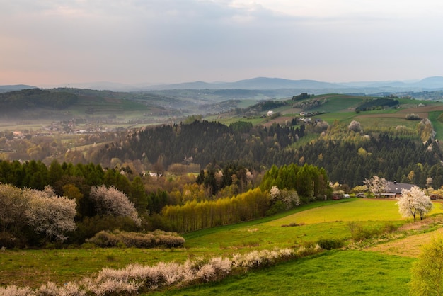 Pools platteland in de lente Kleurrijke weelderige bomen en weilanden