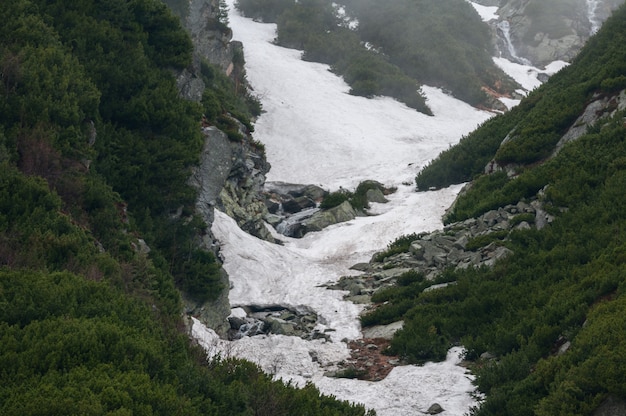 Poolse Tatra-bergen