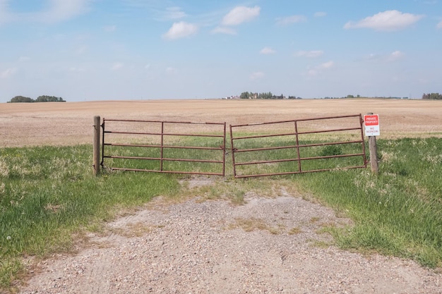 Poort in de landelijke alberta boerderij in de zomer