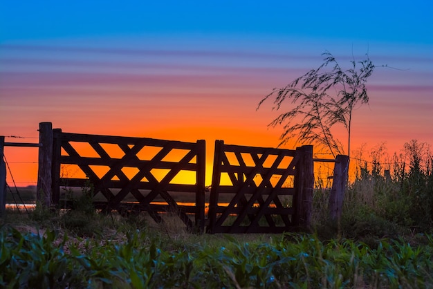 Poort in het landschap van het Pampas-landschap, de provincie La Pampa, Argentinië