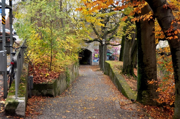 Poortingang naar Graffiti onder de Friedensengel of Street art-tunnel onder de onderdoorgang ga naar het Angel of Peace-monument voor mensen die reizen in München op 16 november 2016 in Beieren, Duitsland