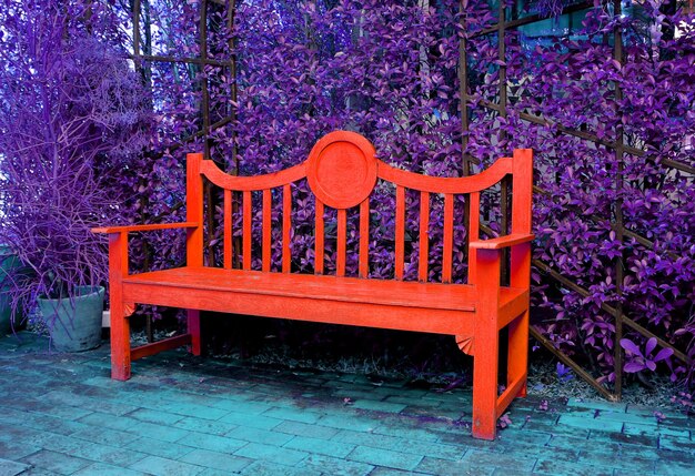 Pop art surreal style empty red wooden bench with purple shrubs in background