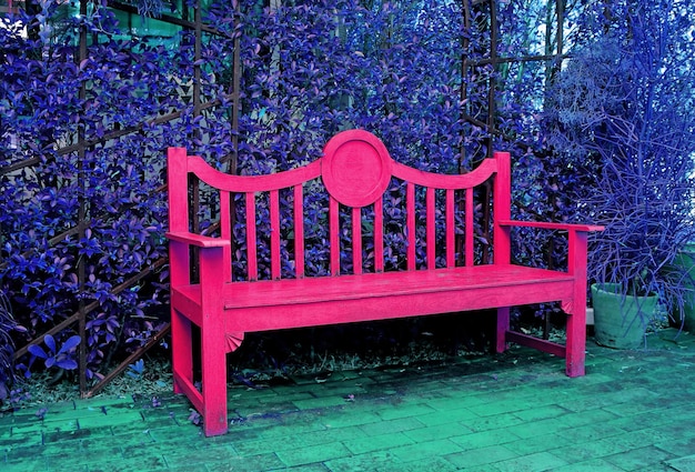 Pop-art surrealistische stijl lege hete roze houten bank met violet hedging struik op achtergrond