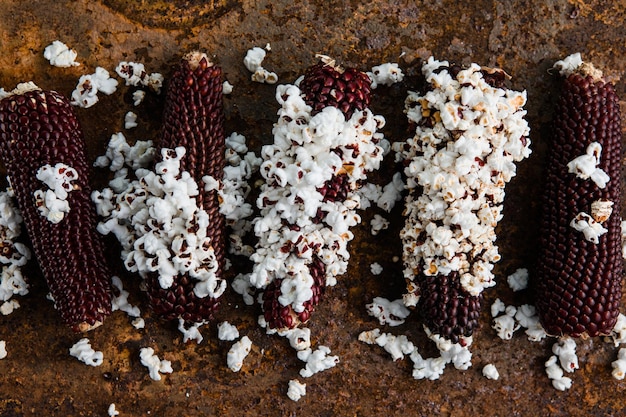 Pannocchia di mais popcorn texture di mais multicolore ortaggi biologici da fattoria raccolto autunnale Foto Premium