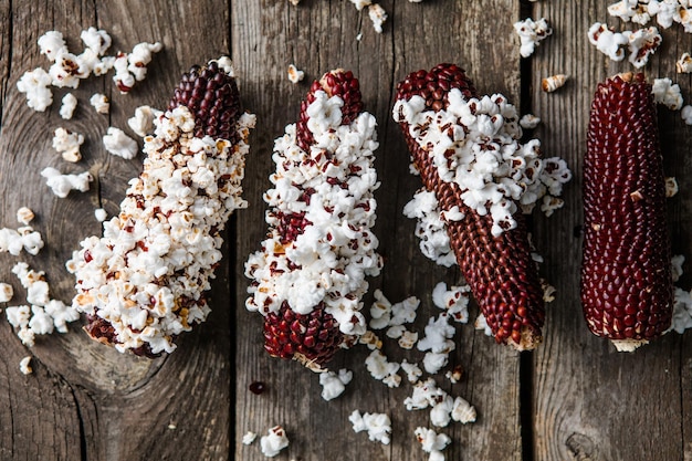 Popcorn corn cob Multicolored corn texture