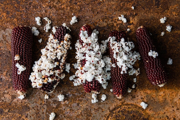 Popcorn maïskolf Veelkleurige maïstextuur Biologische boerderij bio-groenten Herfstoogst