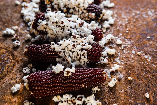 Popcornkolven plat gelegd Gekleurde maïskolven Biologische boerderij bio-groenten Herfstoogst