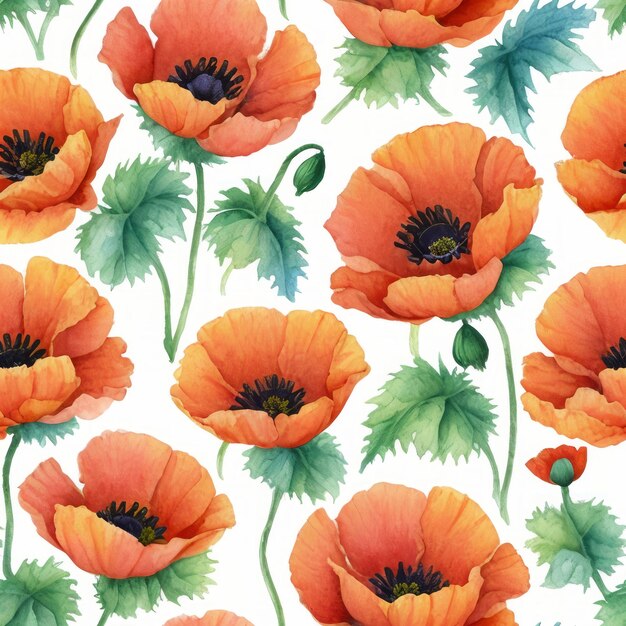 Poppies flowers watercolor seamless patterns