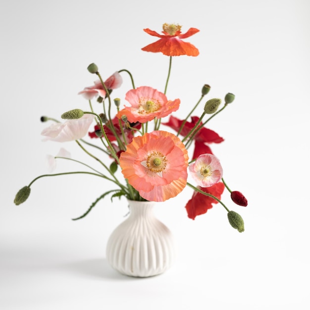 Poppies in a white vase on a white background