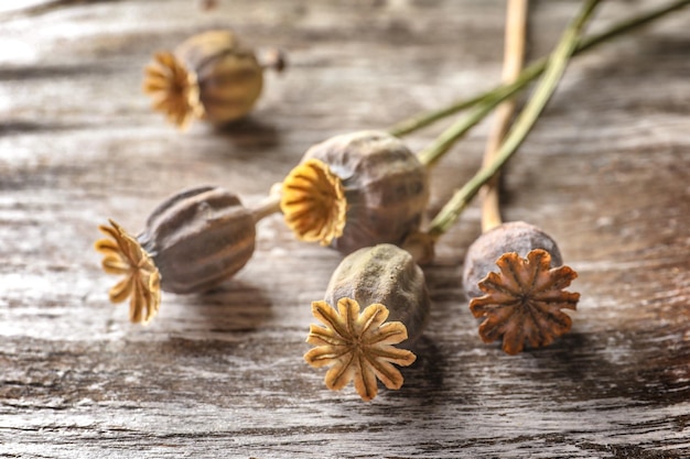 Poppy heads on wooden table closeup