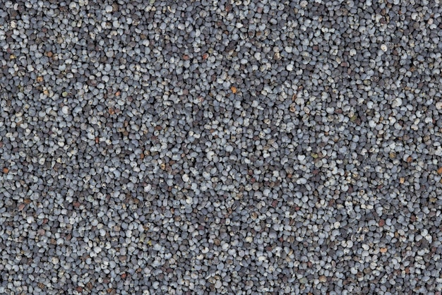 Photo poppy seed background texture background of raw poppy seeds