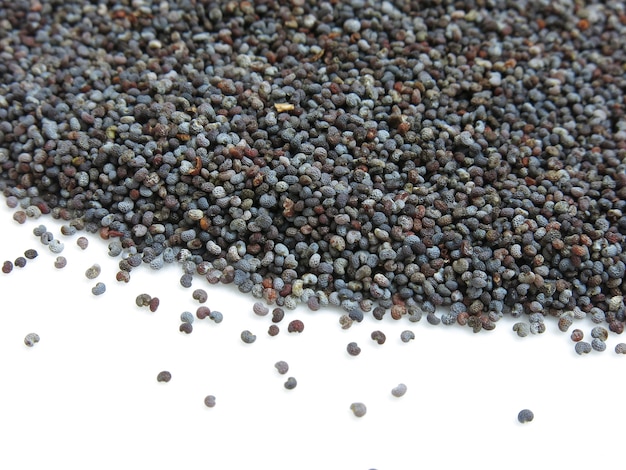 Poppy seed an oil seed obtained from the opium poppy (Papaver somniferum)