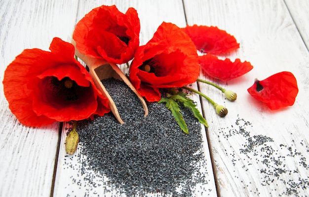 Poppy seeds and flowers