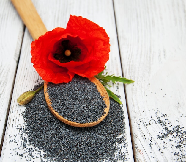 Poppy seeds and flowers