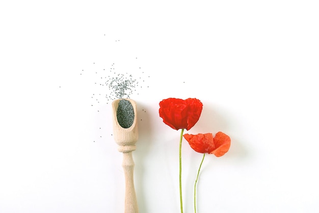 poppy seeds in a minimalist style top view