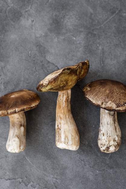 Porcini Big mushrooms on a concrete background White mushrooms close up