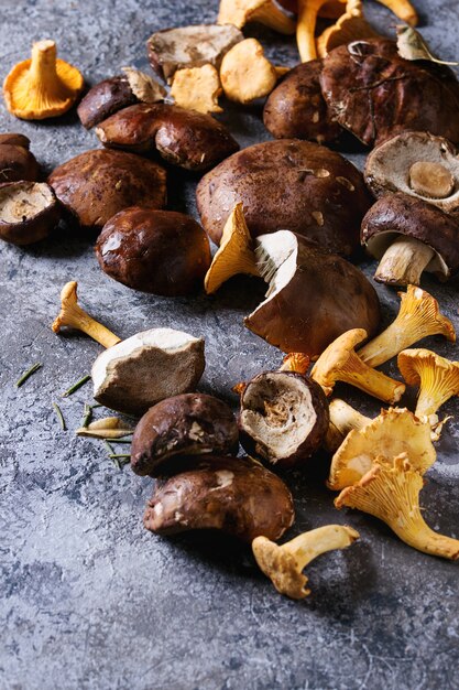 Porcini boletus and chanterelles mushrooms