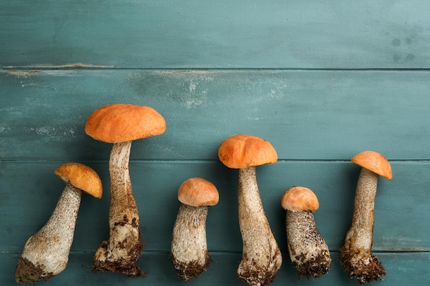 Porcini mushroom or mushroom an orangecap boletus on old rustic wooden table backgrounds Organic forest food Autumn harvest concept Edible fresh picked mushroom Copy space Top view