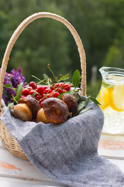 Porcini mushrooms and cherry berries in a basket Harvesting