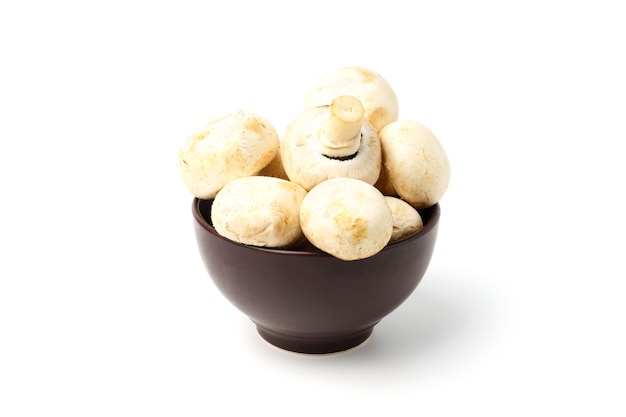 흰 벽에 고립 된 깊은 갈색 접시에 Porcini 버섯
