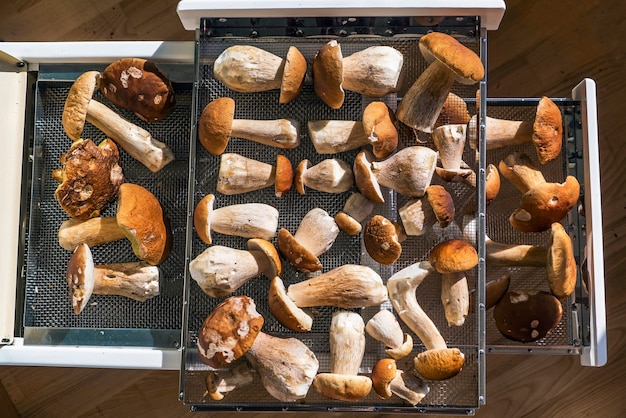 Белые грибы лежат на сушильной решетке в духовке.