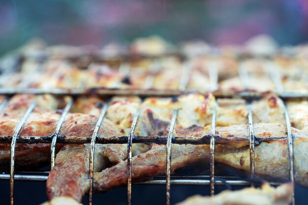 夏は自宅の野外で豚肉と鶏肉のシャシリクをグリルで焼きます。