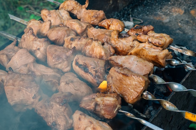 Pork kebab is cooked on skewers on a fire