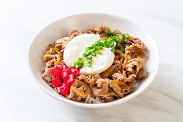 pork rice bowl with egg (Donburi) - japanese food