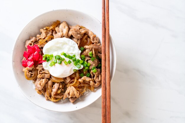 pork rice bowl with egg (Donburi) - japanese food 