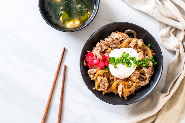 pork rice bowl with egg (Donburi) - japanese food 