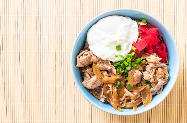 pork rice bowl with egg (Donburi) - japanese food