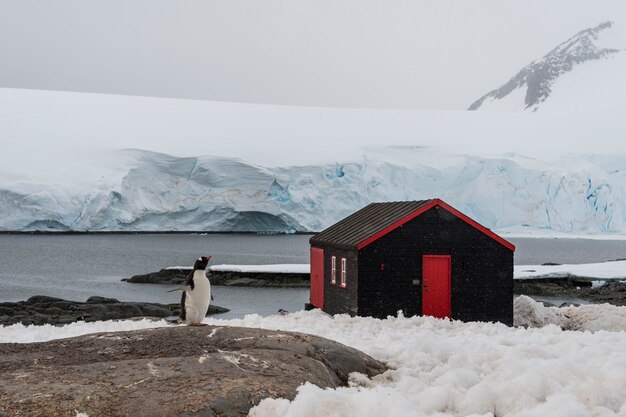 Photo port lockroy antarctic station